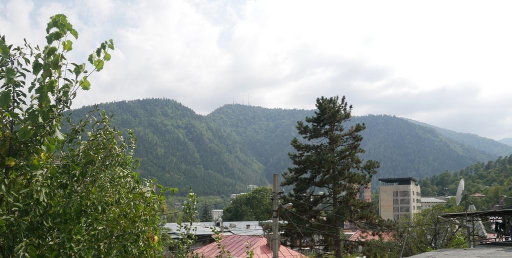 Luxury Apartment At Pirosmani 22 In Central Borjomi Exterior foto